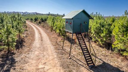 Property in Pike County, Arkansas