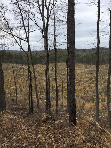 Property in Garland County, Arkansas