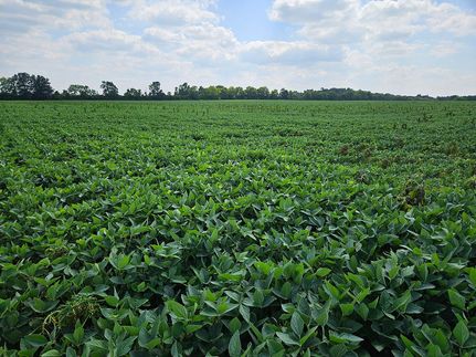 Property in Butler County, Ohio