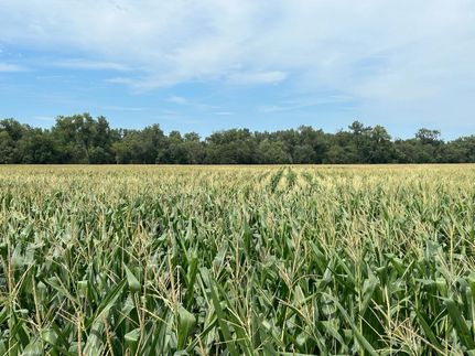 Property in Boyd County, Nebraska