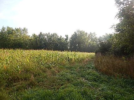 Property in Hillsdale County, Michigan