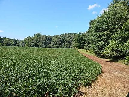 Property in Calhoun County, Michigan