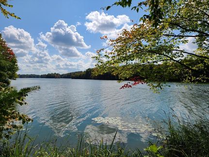 Property in Chippewa County, Wisconsin