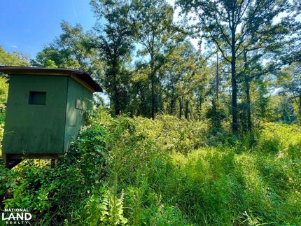 Property in Mobile County, Alabama