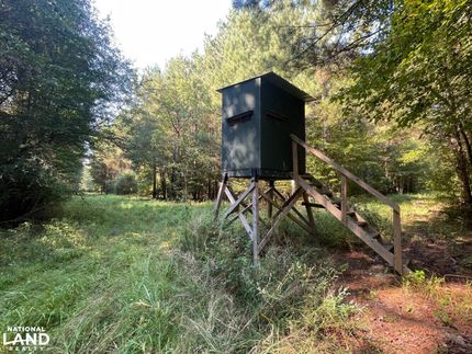 Property in Lamar County, Alabama