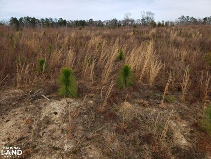 Property in Barbour County, Alabama