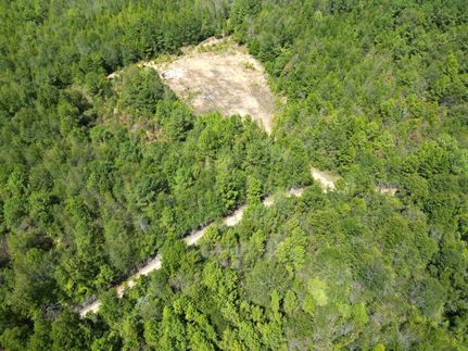 Property in Jefferson Davis County, Mississippi