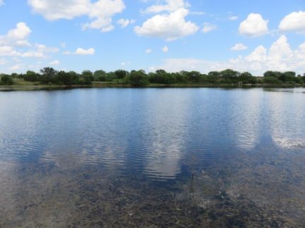 Property in Coleman County, Texas