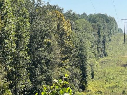 Hunting Land for sale in Monroe County, Alabama