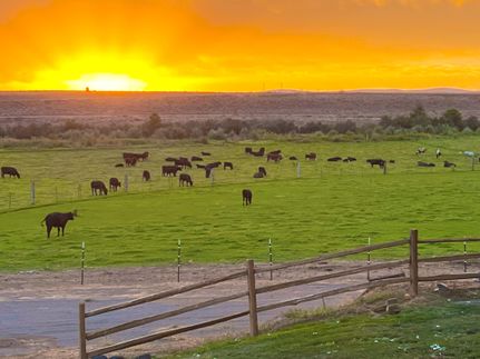 Property in Elmore County, Idaho
