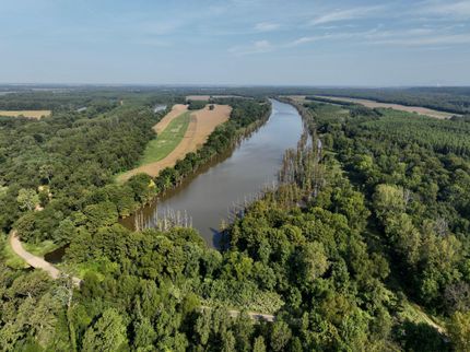 Property in Carlisle County, Kentucky