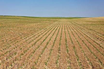 Property in Golden Valley County, North Dakota