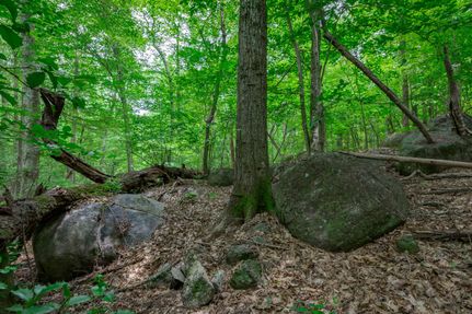 Property in Saluda County, South Carolina