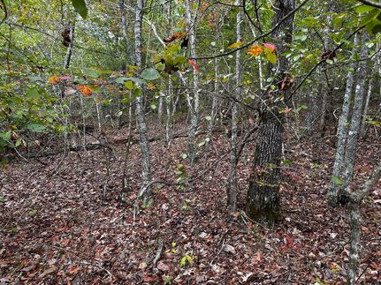 Property in Stone County, Arkansas