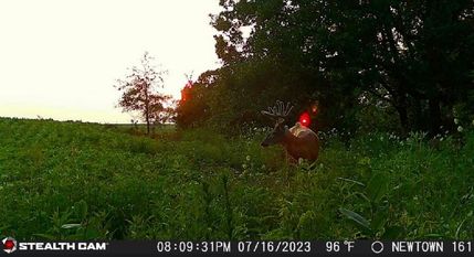 Property in Putnam County, Missouri