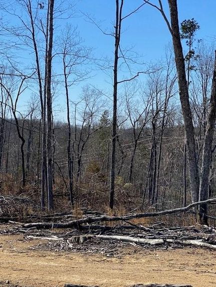 Property in Meigs County, Tennessee