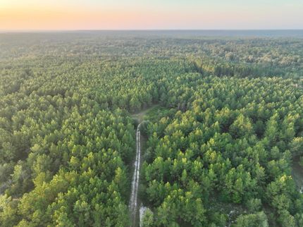 Property in Dodge County, Georgia