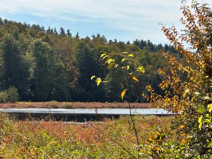 Property in Susquehanna County, Pennsylvania