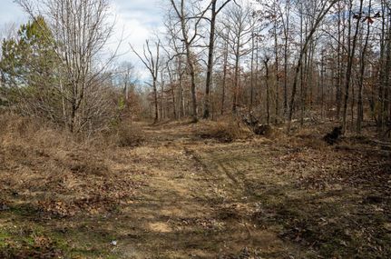 Property in Butler County, Missouri