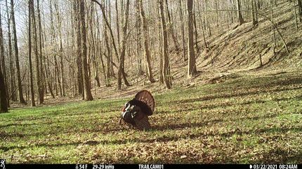 Property in Coosa County, Alabama