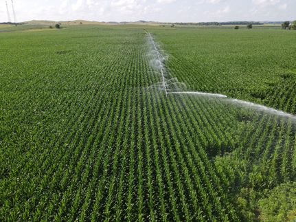 Property in Custer County, Nebraska