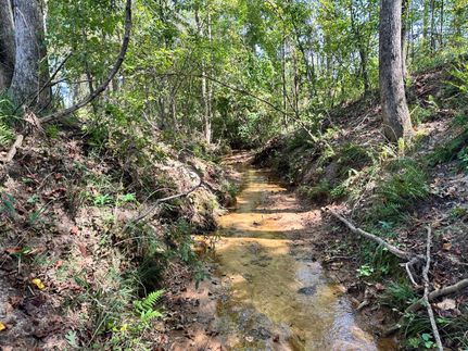 Property for sale in Henry County, Alabama