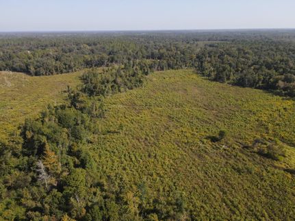 Property in Early County, Georgia