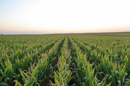 Property in Black Hawk County, Iowa