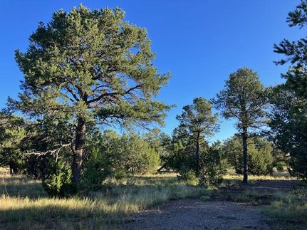 Property in Torrance County, New Mexico