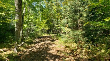 Property in Vilas County, Wisconsin