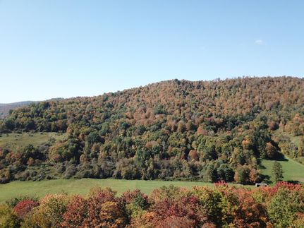 Property in Potter County, Pennsylvania