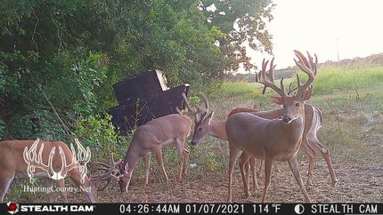 Property in Seminole County, Oklahoma