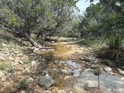 Property in Crockett County, Texas