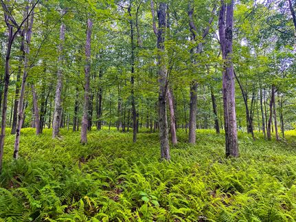 Property in Columbia County, Pennsylvania