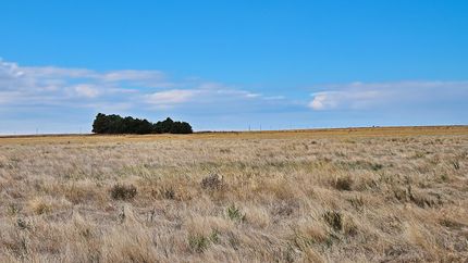 Property in Yuma County, Colorado