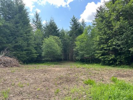 Property in Mason County, Washington