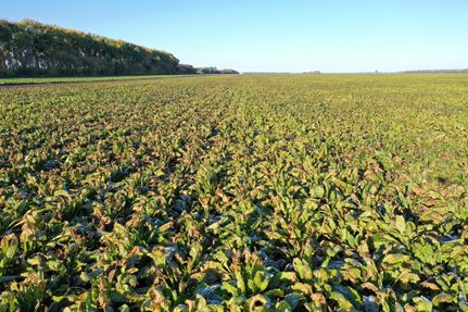 Property in Pembina County, North Dakota