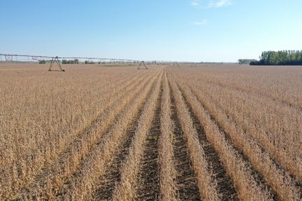 Property in Dickey County, North Dakota