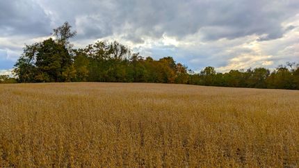 Property in Perry County, Ohio