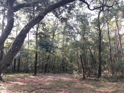 Property in Dixie County, Florida