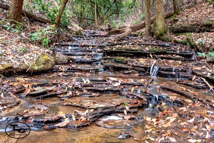 Property in Tuscaloosa County, Alabama