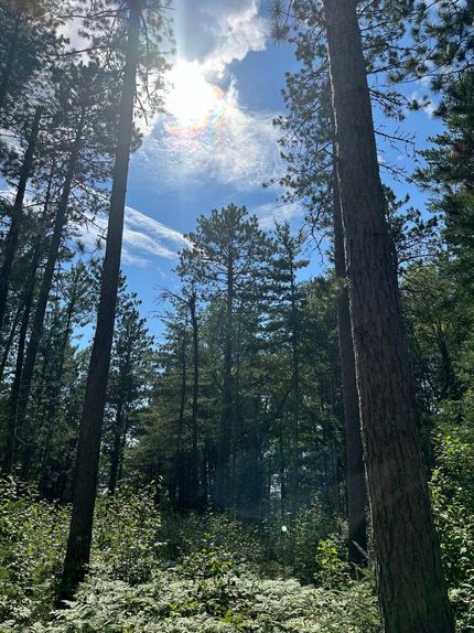 Property in Itasca County, Minnesota