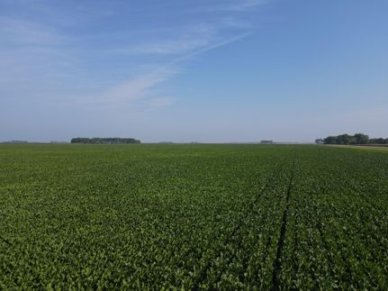 Property in Norman County, Minnesota