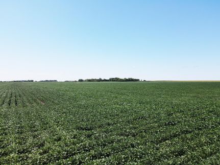 Property in Traverse County, Minnesota