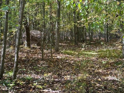 Property in Roscommon County, Michigan