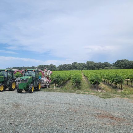 Property in Sacramento County, California