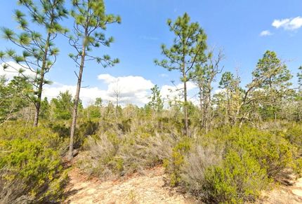 Property in Putnam County, Florida