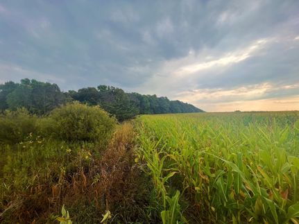 Property in Stearns County, Minnesota