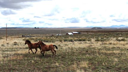 Property in Harney County, Oregon