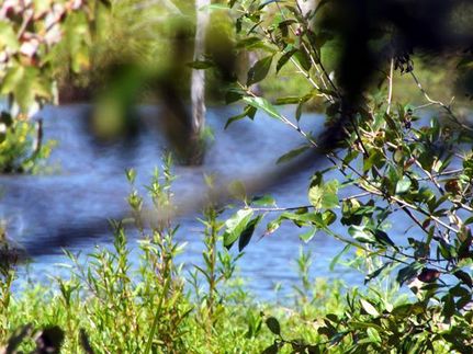 Property in Franklin County, North Carolina